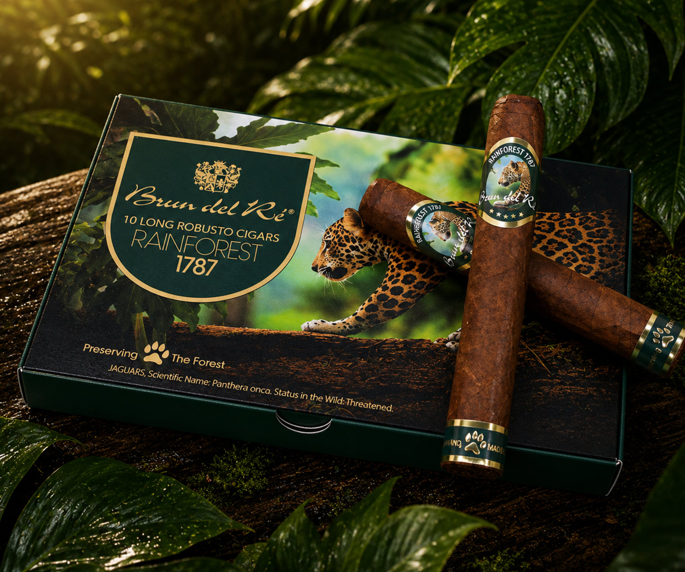 1787 Rainforest - Long Robusto - Jaguar