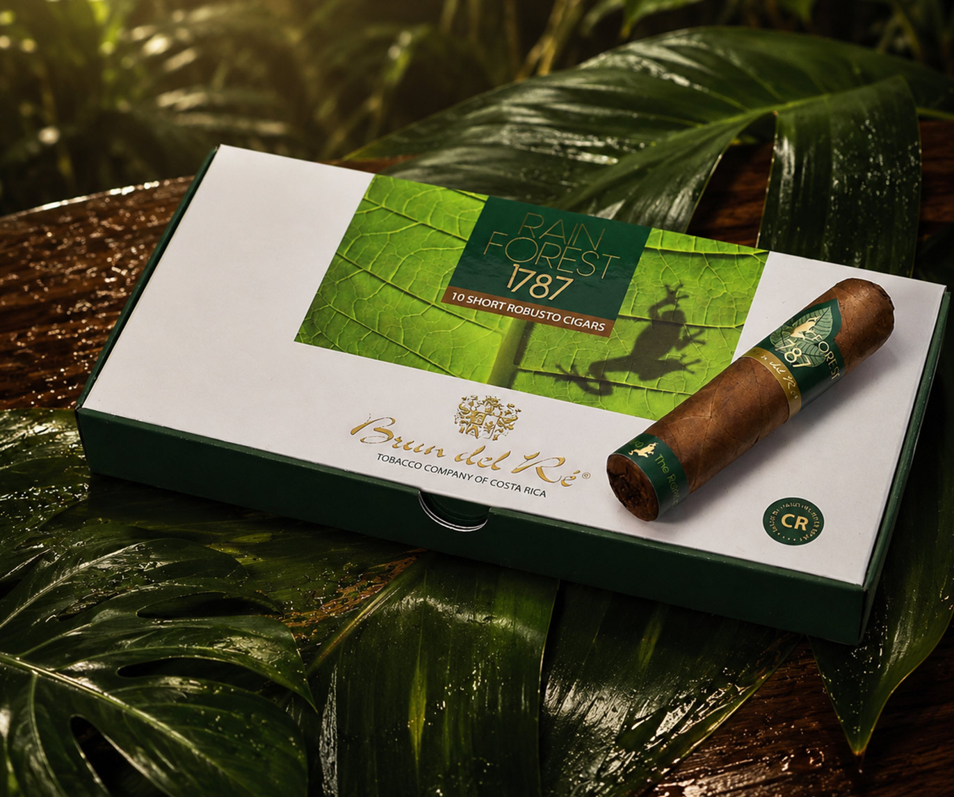 1787 Rainforest - Short Robusto - Frog